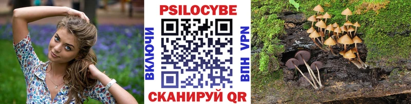 купить закладку  Нововоронеж  Галлюциногенные грибы Cubensis 